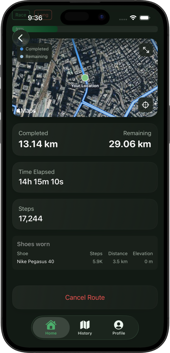 Apple Health step sync in Trekka, second screen.